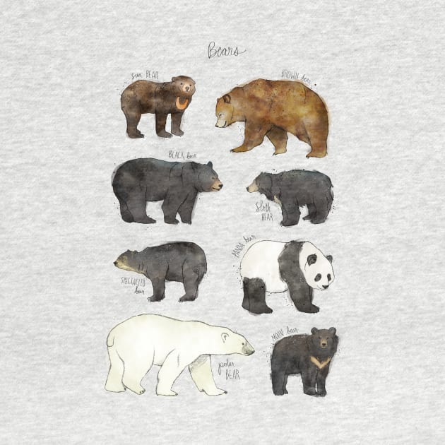 Bears by Amy Hamilton